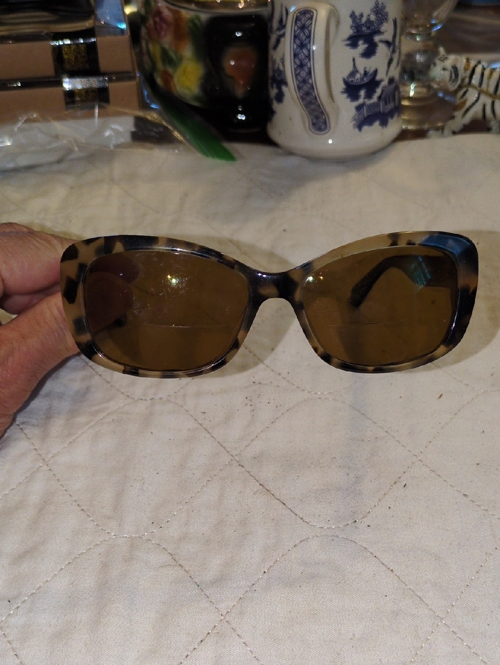 kate spade Claretta Tortoise Shell Brown Lens Women's Sunglasses